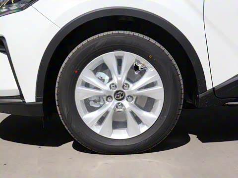 2021�� ˫�� 2.0L ������