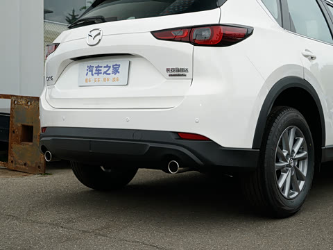 2025�� 2.0L �Զ���������Pro