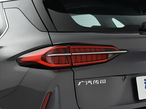 2021�� 390T �Զ����ư�