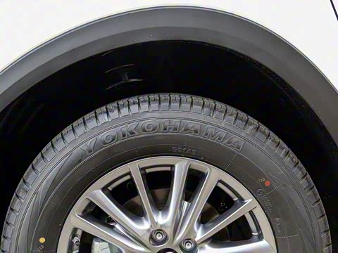 2020�� �Ŀ� 2.0L �Զ�����������