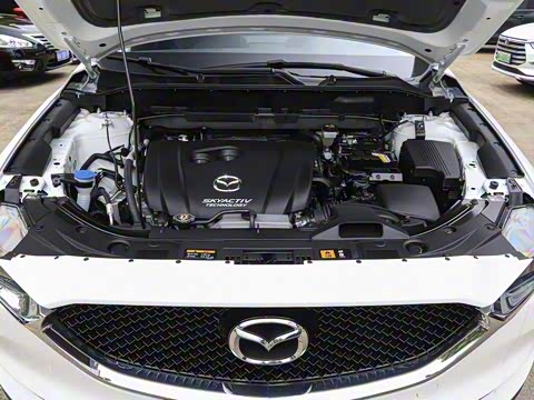 2020�� �Ŀ� 2.0L �Զ�����������