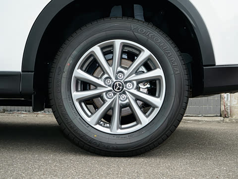 2025�� 2.0L �Զ���������Pro