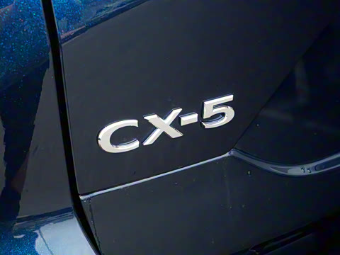 2025�� 2.0L �Զ�����������