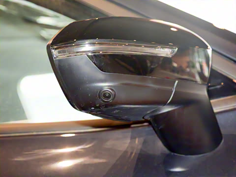 2025�� ������