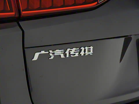 2021�� 390T �Զ����ư�