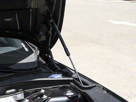 2026�� ���ʽ�춯 ������������Զ������