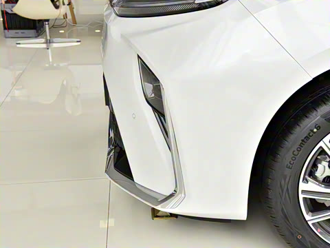 2024�� �Ŀ� ���� ��������ɭ�ְ� ����