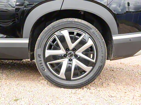 2025�� 135 �����ܼ����״��