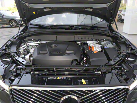 2026�� ���ʽ�춯 ������������Զ������