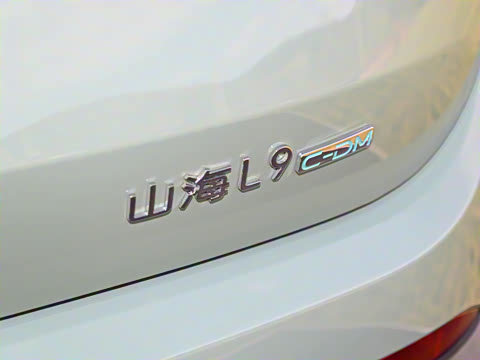 2024�� 1.5TD 2DHT Max 7��