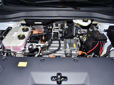 2025�� 445km ��ѡ��