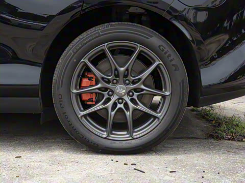 2025�� ����������������Ժ��