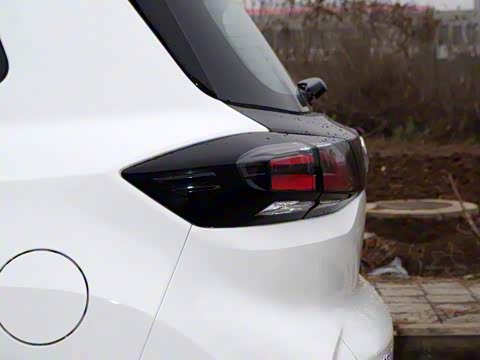 2020�� �����