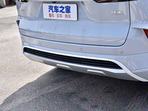 2021�� 2.0T ������Ũ��