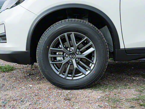 2025�� ���� 2.0L �������İ�