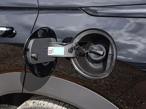 2025�� 135 �����ܼ����״��