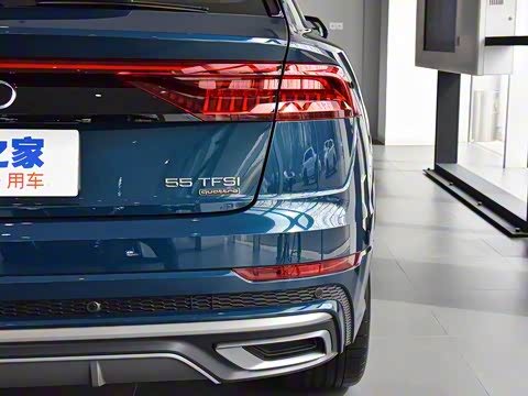 2019�� 55 TFSI ��ѡ������