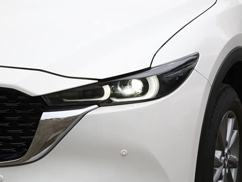 2024�� 2.0L �Զ���������Pro