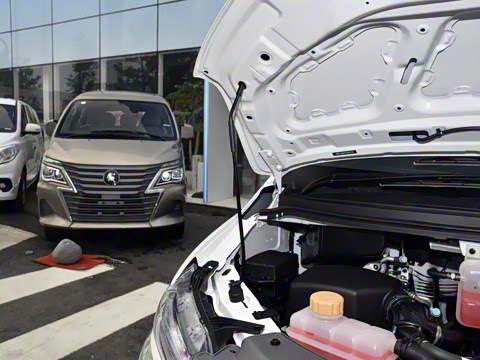 2025�� 110km���� ������7��