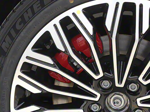 2025�� FREE+ ����Ǭ����