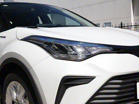 2021�� ˫�� 2.0L ������