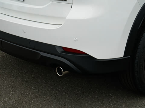 2025�� 2.0L �Զ���������Pro