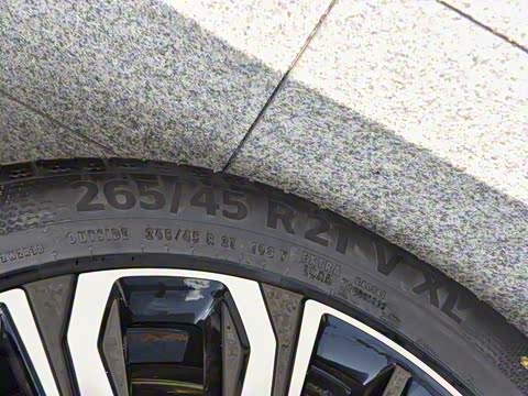 2026�� �������̼�����