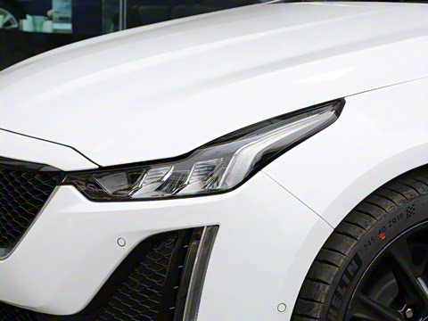 2021�� 28T ������