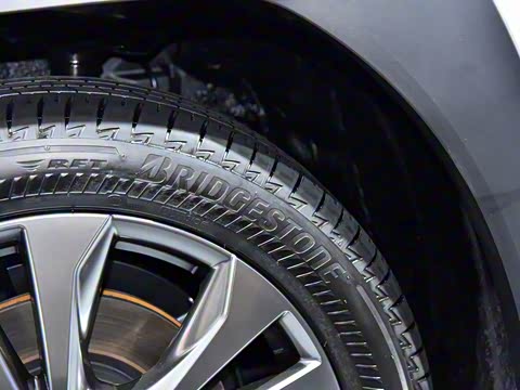 2019�� 260h F SPORT�� ��VI