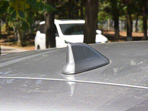 2021�� ˫�� 2.0L ������