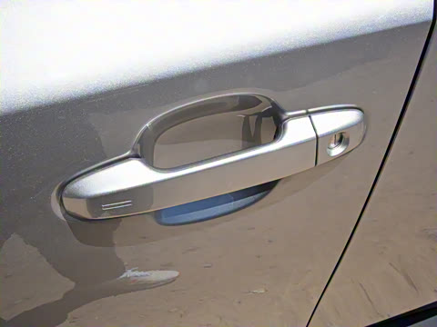 2021�� ˫�� 2.0L ������