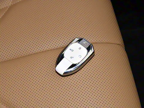 2024�� PHEV 143km ������ Max