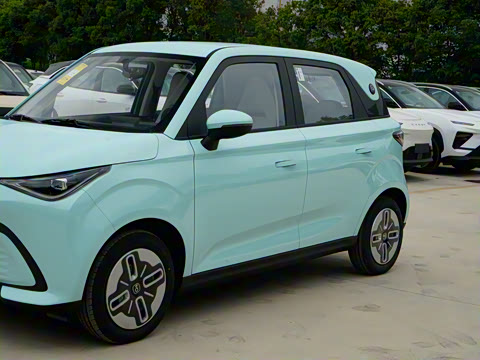 2025�� 305km ������