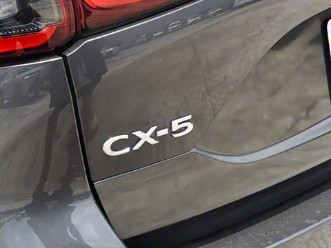 2025�� 2.0L �Զ���������Pro