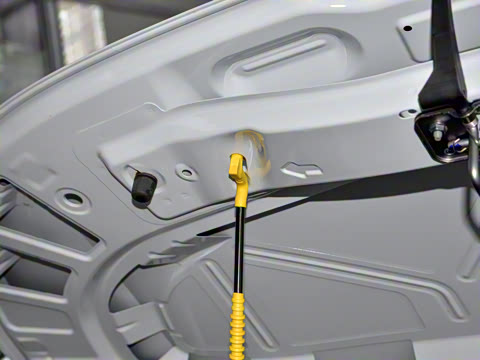 2021�� Pro ���ǳ�������