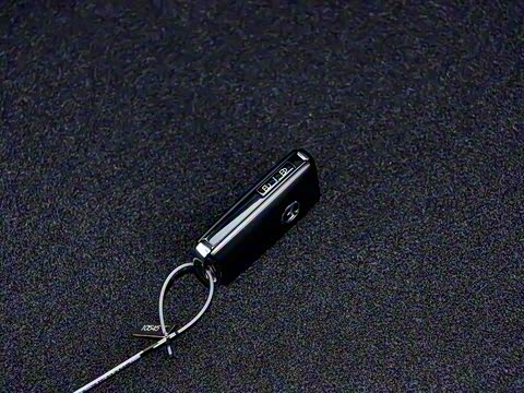 2025�� 2.0L �Զ���������Pro