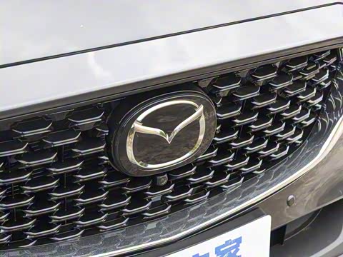 2025�� 2.0L �Զ���������Pro