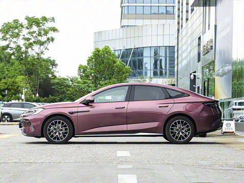 2025�� �Ǽݰ� DM-i 1.5T 125km �콢��