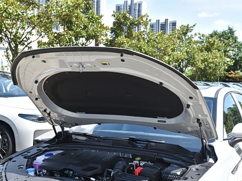 2025�� 2.0T DCT ������