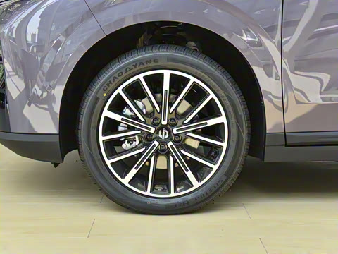 2025�� 600������