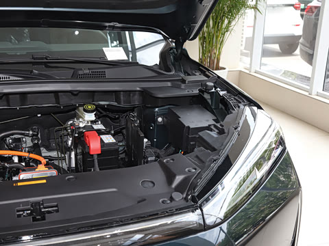 2025�� 518������