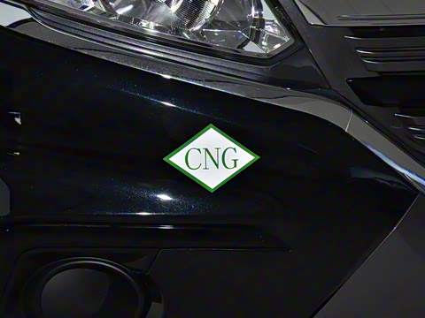 2025�� 2.0L �ֶ�������CNG 7��