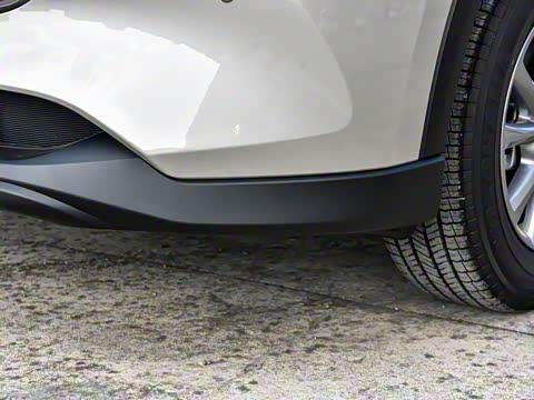 2025�� 2.0L �Զ���������Pro