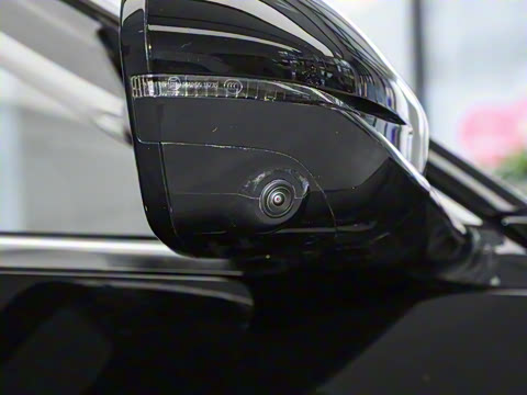 2024�� 555������