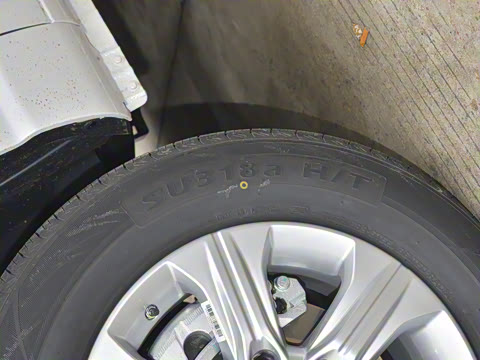 2023�� 2.0T�Զ������촴 ����