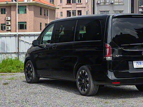 2025�� V 300 �캽��