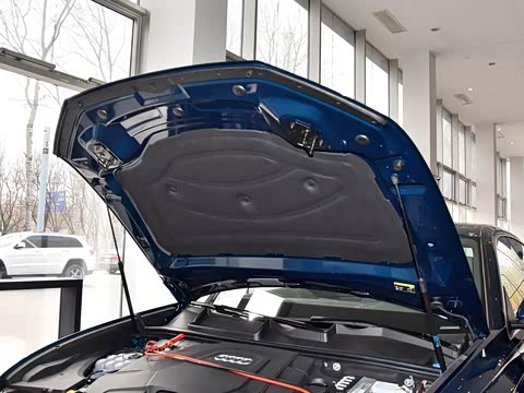 2019�� 55 TFSI ��ѡ������