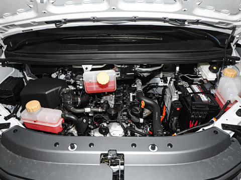 2025�� ���̰� ������ 7��