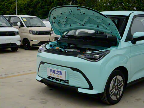 2025�� 305km ������