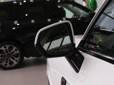 2025�� 2.0TD EM-P ����Max ����